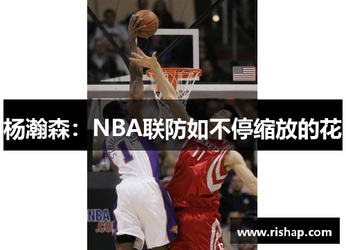 杨瀚森：NBA联防如不停缩放的花
